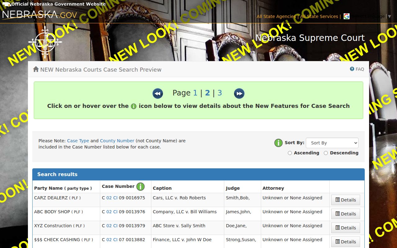 Cuming County court calendar case search result fields