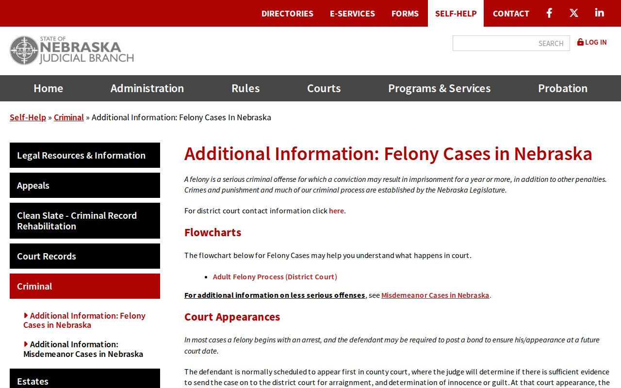 Cuming County criminal docket felony bindover process